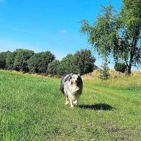 Apartamento Friesenhaus Fuer 6 Gaeste Mit Grossem Garten *